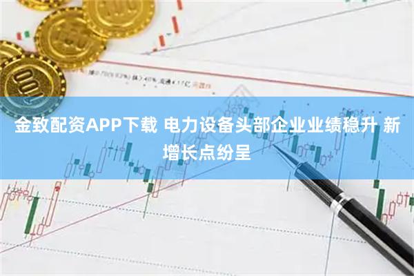 金致配资APP下载 电力设备头部企业业绩稳升 新增长点纷呈