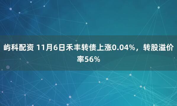 屿科配资 11月6日禾丰转债上涨0.04%，转股溢价率56%