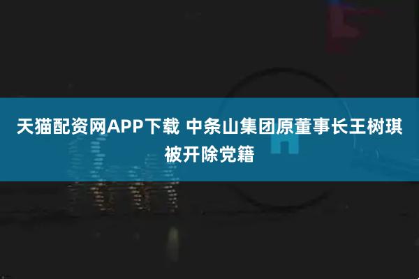 天猫配资网APP下载 中条山集团原董事长王树琪被开除党籍