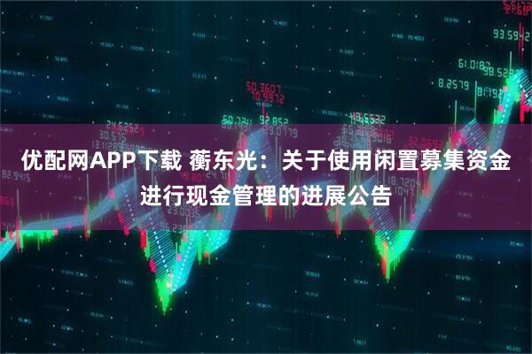 优配网APP下载 蘅东光：关于使用闲置募集资金进行现金管理的进展公告